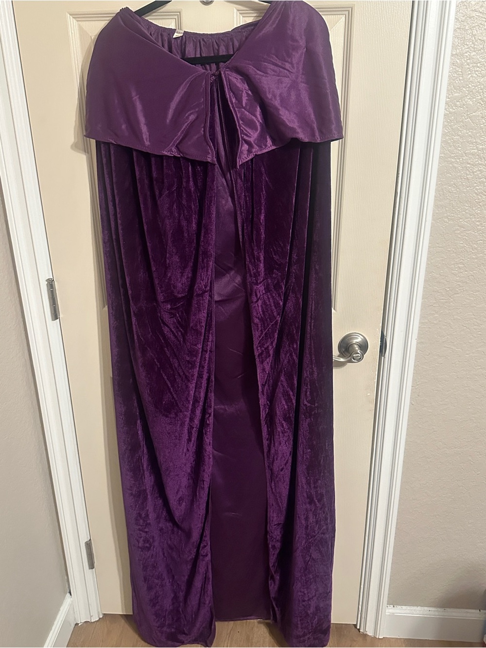 Sarah Sanderson Cosplay Costume, Luxurious Velvet Purple Robe with Trim, Sz XL